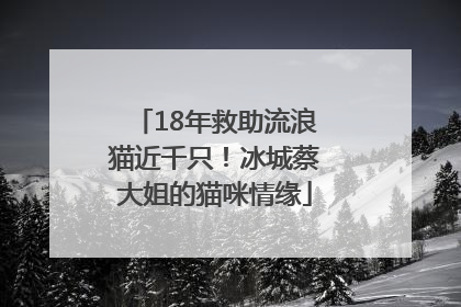 18年救助流浪猫近千只！冰城蔡大姐的猫咪情缘