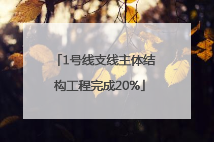 1号线支线主体结构工程完成20%