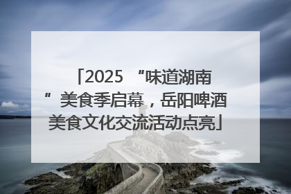 2025 “味道湖南”美食季启幕，岳阳啤酒美食文化交流活动点亮