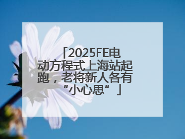 2025FE电动方程式上海站起跑，老将新人各有“小心思”
