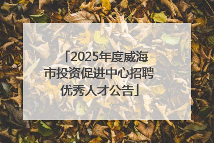 2025年度威海市投资促进中心招聘优秀人才公告