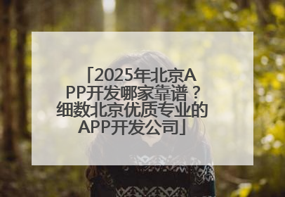 2025年北京APP开发哪家靠谱？细数北京优质专业的APP开发公司