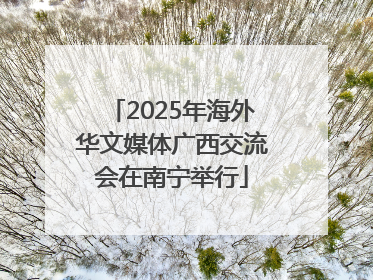 2025年海外华文媒体广西交流会在南宁举行
