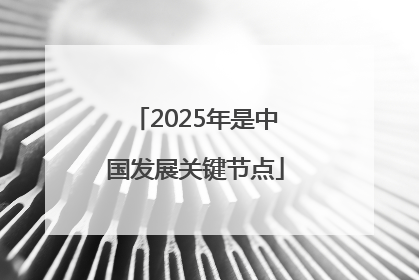 2025年是中国发展关键节点