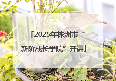2025年株洲市“新阶成长学院”开讲