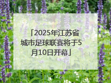2025年江苏省城市足球联赛将于5月10日开幕