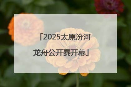 2025太原汾河龙舟公开赛开幕