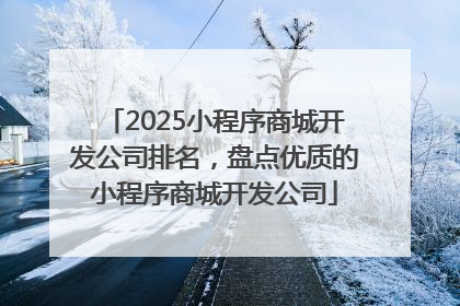 2025小程序商城开发公司排名，盘点优质的小程序商城开发公司