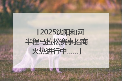2025沈阳和河半程马拉松赛事招商火热进行中……
