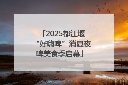 2025都江堰“好嗨啤”消夏夜啤美食季启幕