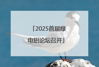 2025首届绿电铝论坛召开