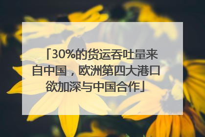 30%的货运吞吐量来自中国，欧洲第四大港口欲加深与中国合作
