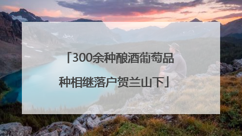 300余种酿酒葡萄品种相继落户贺兰山下