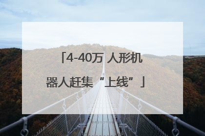 4-40万 人形机器人赶集“上线”