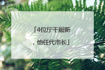 4位厅干履新，他任代市长