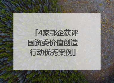 4家鄂企获评国资委价值创造行动优秀案例