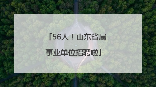 56人！山东省属事业单位招聘啦