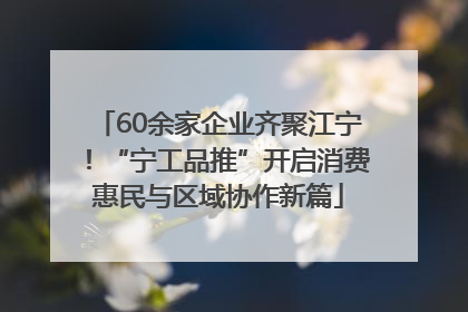 60余家企业齐聚江宁！“宁工品推”开启消费惠民与区域协作新篇