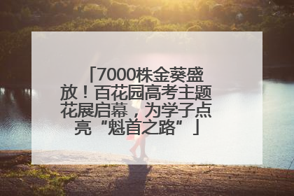 7000株金葵盛放！百花园高考主题花展启幕，为学子点亮“魁首之路”