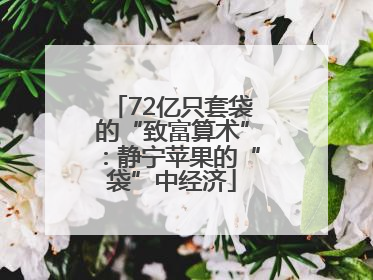 72亿只套袋的“致富算术”：静宁苹果的“袋”中经济