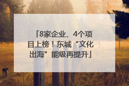 8家企业、4个项目上榜！东城“文化出海”能级再提升