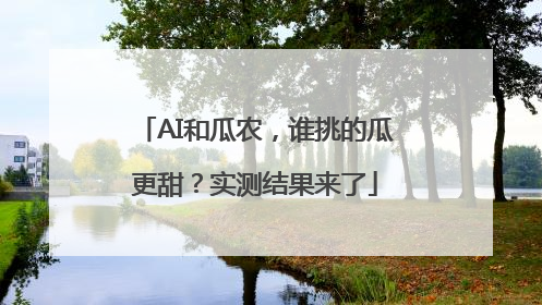 AI和瓜农，谁挑的瓜更甜？实测结果来了