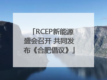 RCEP新能源盛会召开 共同发布《合肥倡议》
