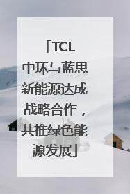 TCL 中环与蓝思新能源达成战略合作，共推绿色能源发展
